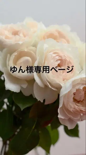 상의