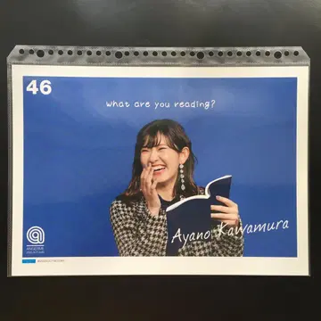 4350 안쥬르므 카와무라 후미노 핑업 포스터