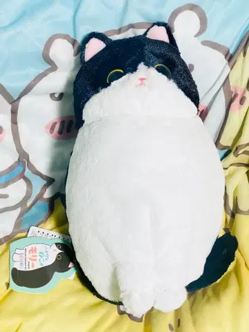 하치와레 고양이 모리 봉제 인형