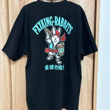 FR2 월도 한정 오키나와 한정 판매 에이사 디자인 새상품급