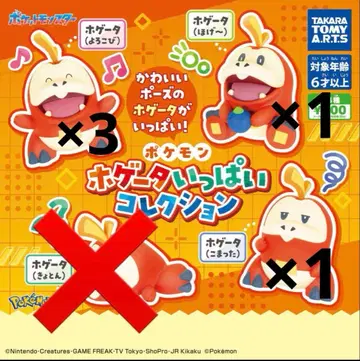 포켓몬 뜨아거(호게타) 가득 컬렉션