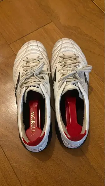 모렐리아 네오 4 27cm