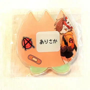 Crazy Raccoon 어린이날 NAME BADGE 아리사카 cr