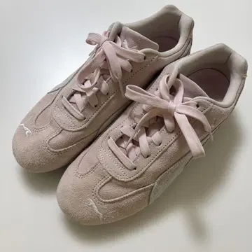 스피도캣 SPEED CAT OG puma 핑크 24.5cm