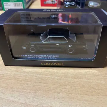 CAR-NEL 하코스카 미니카