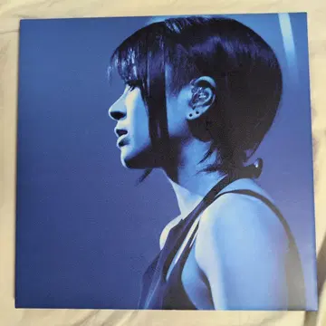 Hikaru Utada Laughter in the Dark Tour
