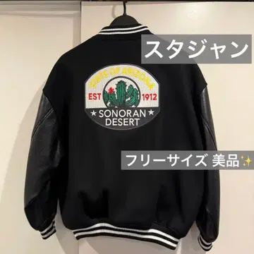 SONORAN DESERT 자수 바시티 자켓