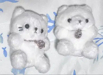 화이트 고양이와 곰 봉제 인형