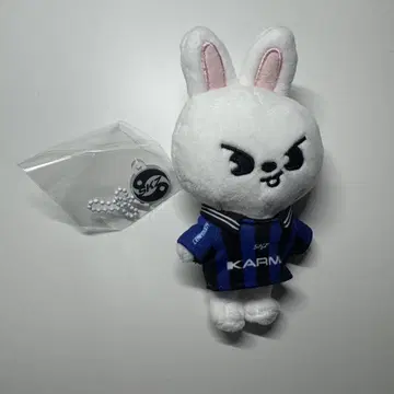 stray kids karma skzoo 리빗