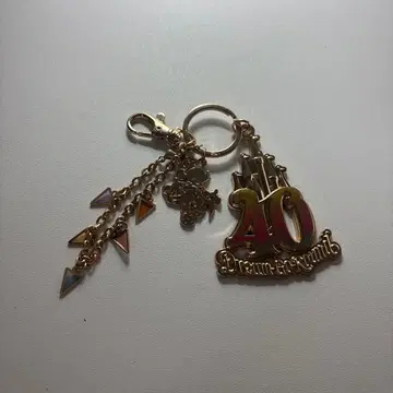Disney land 40주년 기념 키링