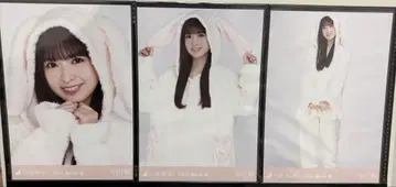 노기자카46 오가와 아야 애니멀 룸웨어 브로마이드 컴프