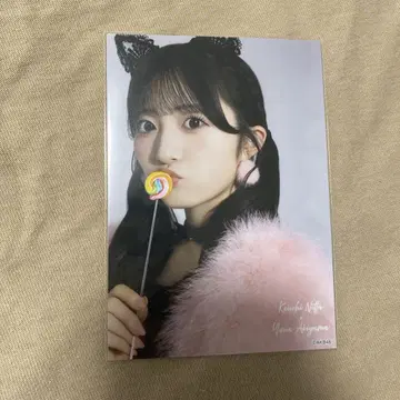 AKB48 아키야마 유나 다이마루 도쿄점 대의상전 랜덤 브로마이드 1장