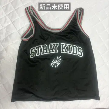 stray kids 스키즈 업그레이드 특전 메쉬 백 시즈오카 에코파