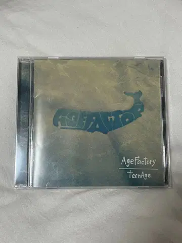 Age Factory teenage CD