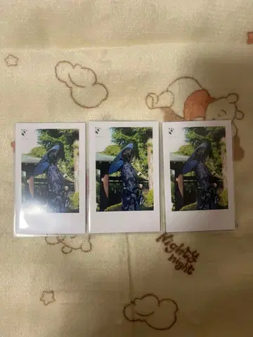 이레귤러즈 랜덤 실사 폴라로이드 If 님