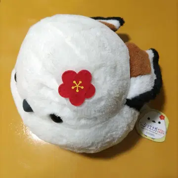 복복 시마연가 경사스러운 친구