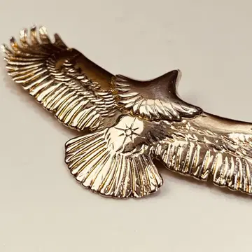 TADY&KING 단종 구형 다이아 중간 이글 실버 단종 이글