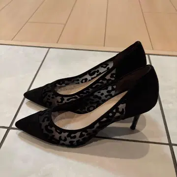 RANDA
