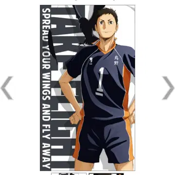 하이큐 사와무라 다이치 빅 타월