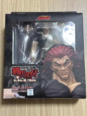 Storm Arena 1/12 한마 유지로