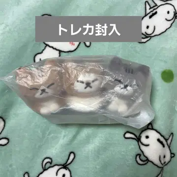스키즈 서울콘 팝업 리노 고양이 봉제 인형 마스코트