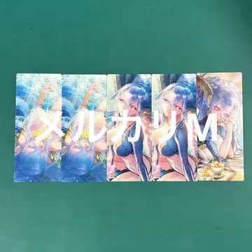 fgo 최종 재림전 티아마트 5장 세트