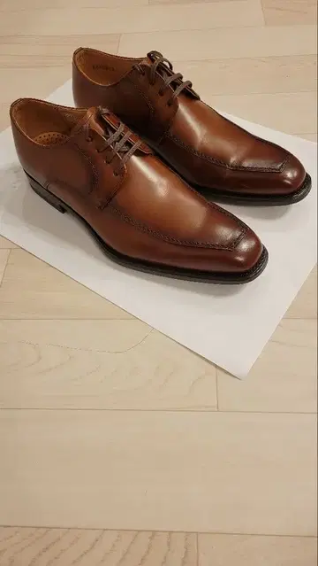 REGAL 리갈 124R