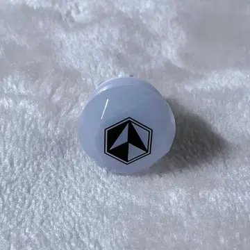이레귤러 린 라이 다이스형 리우라