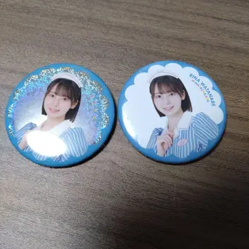 히나타자카 와타나베 리나 레어 캔뱃지 세트 투어 공식 굿즈