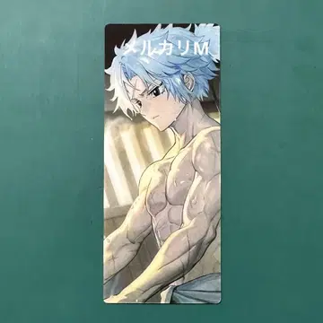 fgo 최종 재림전 토도 헤이스케