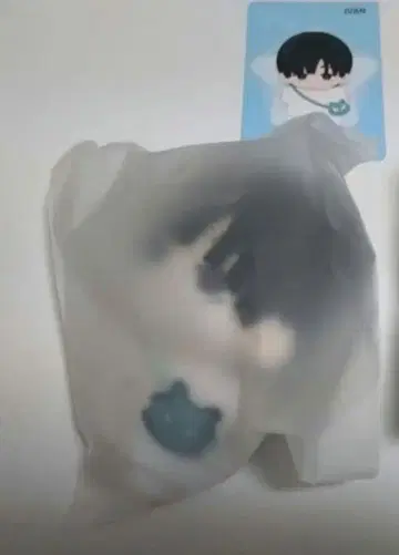 에이리언 스테이지 봉제 인형 불가사리 이반 에이스테 해성체