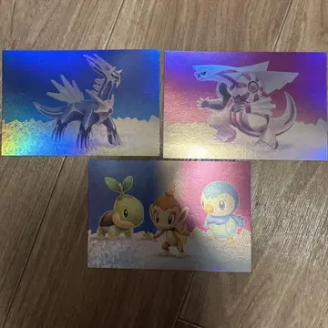 포켓몬 홀로그램 카드 3장 세트