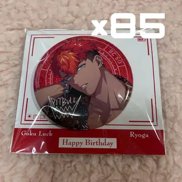 파라라이 토사 료가 캔뱃지