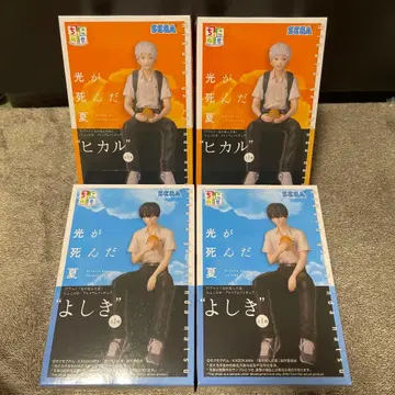 빛이 죽은 여름 쵸코노세 히카루 요시키 2세트