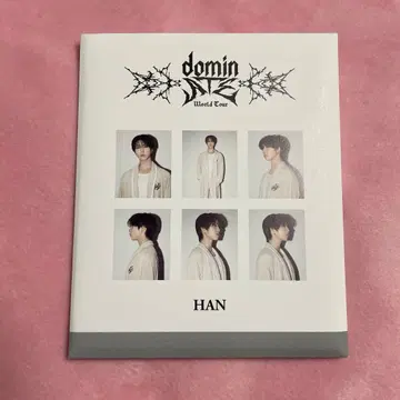 stray kids 스키즈 한 인스턴트 사진 세트 ATE HAN