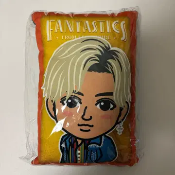 야기 유세이 쿠션