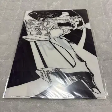 원피스 ILLUSTRATION WORKS 클리어 파일