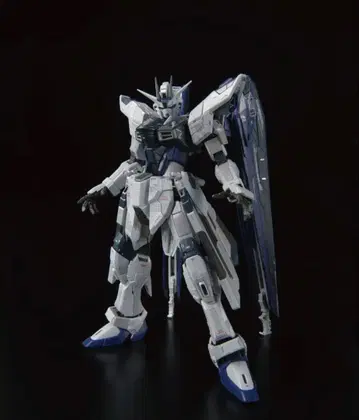 RG 프리덤 건담 ver. gcp 디액티브 모드