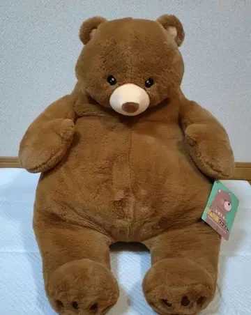 푹신푹신! GIGA 곰돌이 [ 눈이 반짝반짝 ]
