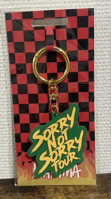 Sorry Not Sorry Tour 키링