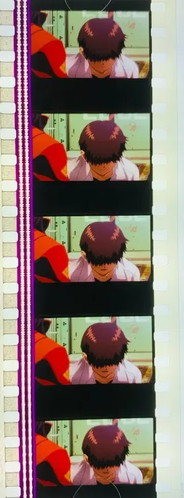 에반게리온 신극장판 . DVD 특전 필름 이카리 신지 2점 세트