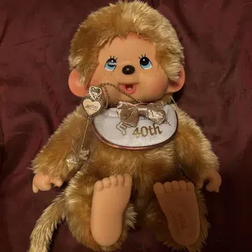 몽치치 40th Anniversary