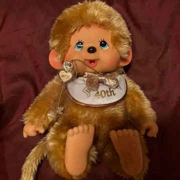 몽치치 40th Anniversary