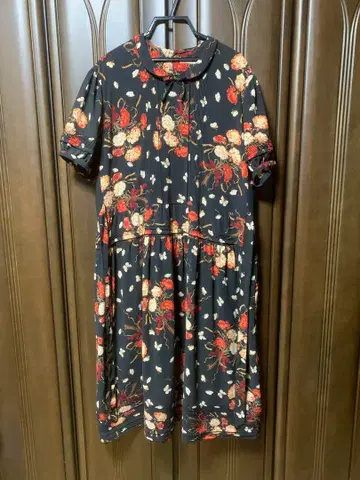 카네코 이사오 롱 원피스