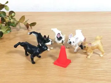 마킹견 프렌치 불독 5종 (카란콘 덤 포함)