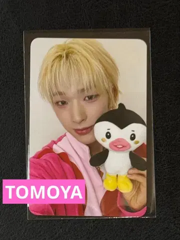NEXZ 서울콘 혜택 트레이딩 카드 토모야 TOMOYA