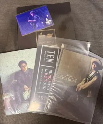 이리노 미유 팜플렛 솔로 라이브 TimeFlies SUGOI MUSIC