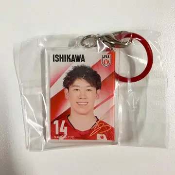 배구 남자 일본 대표 메지루시 참 이시카와 유키