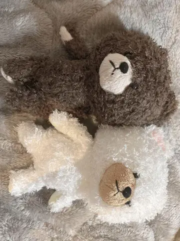 곰돌이 학교 봉제 인형 세트