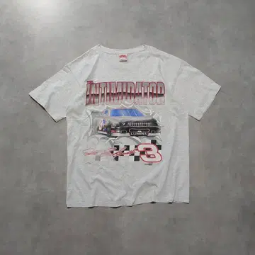 90s NUTMEG NASCAR 셔츠 XL USA K199